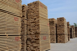 ไม้แปรรูปพอลาเนียไม้เนื้อแข็งดีไซน์ทันสมัย - Product Image 5