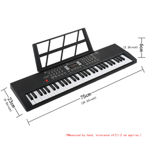 <span class=keywords><strong>Piano</strong></span> électronique portable BD-611 personnalisé à 61 touches, clavier électronique, orgue, instruments de musique avec 100 rythmes pour débutants - Product Image 2