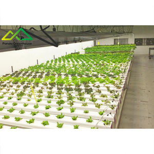 Gran Oferta: Kit de Invernadero Hidropónico Inteligente con Energía Solar, Monitoreo IoT, Diseño Modular, <span class=keywords><strong>Agricultura</strong></span> <span class=keywords><strong>Sostenible</strong></span> - Product Image 2