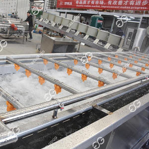 Machine de lavage, de séchage, de revêtement, de tri et d'emballage des fruits Gelgoog, machine de lavage, de roulement et de pulvérisation des fruits - Product Image 5