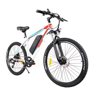 Foldable Ebike Custom Moped Pedals Pedelec 250 Watt Bicycle Hidden Battery Tandem Ebike Electric Bike