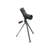 Vector Optics Paragon 8-24x50 ED Télescope à angle pour l'observation de la faune ornithologique