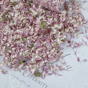 500 g/borsa Gomphrena secca singola o mista/Helichrysum/Gomphrena Globosa fiorisce fragola <span class=keywords><strong>fiore</strong></span> di frutta petalo <span class=keywords><strong>Confetti</strong></span> da sposa - Product Image 3