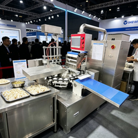 Appareil automatique de formage de raviolis avec mélangeur résistant à la corrosion et capteur de détection de fuites pour les chaînes hôtelières