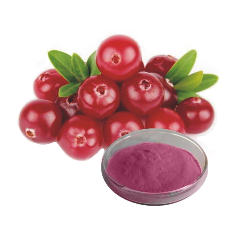 Cranberry Extract Powder 10-40