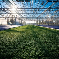 Serre agricole professionnelle de grande taille en verre, structure multi-voûtes avec système de contrôle environnemental complet