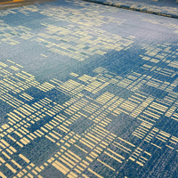 Mur à mur Casino Tapis Hôtel Chambre 80% laine 20% nylon Tapis