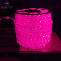 IP65 Wasserdichte LED-Lichterketten 2 Drähte 10mm & 13mm Runde für Weihnachts dekoration