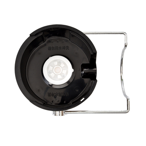 Nhãn Hiệu Riêng Thiết Kế Mới Cà Rốt Apple Máy Ép Trái Cây Masticating Máy Vắt Điện Thép Không Gỉ Cho Ngoài Trời Nhà Bếp Sử Dụng Nhà - Product Image 6