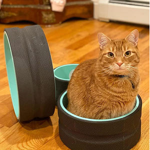 Yoga Wheel Set Atualizado 10MM Thick Back Wheels para Alongamento <span class=keywords><strong>Strongest</strong></span> Back Roller para Massagem Profunda Tissue - Product Image 5