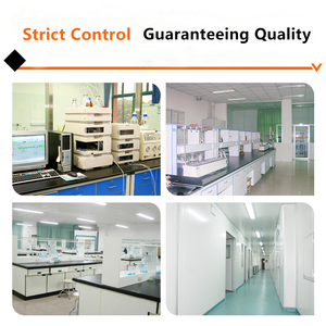 कारखाने का प्रत्यक्ष मूल्य फाइबर पूरक कार्बनिक पेसाइलियम बीज भूक 99% पेस्लिलियम भूक पाउडर के साथ वजन घटाने के लिए सामग्री - Product Image 2