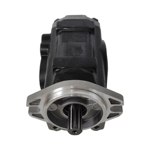 Lifthydrau Gabelstapler-Dieselpumpe Nenndruck Doppel-Gabelstapler-Teil Hydraulische Zahnradpumpe - Product Image 4