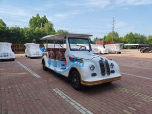 Auto Elettrica Classica di Design Bianco a 3 File e 11 Posti con Carrozzeria Grande, Marca TIANSHU, Certificata CE, Produttore Cinese - Product Image 5