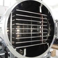 Industrie Vriesdroger Groente Fruit Vacuüm Vriesdroogmachine