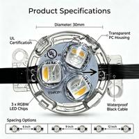 Lampes à points LED de 30 mm, éclairage permanent, éclairage extérieur LED sur rail, 12 V, système d'éclairage LED extérieur permanent RGBW