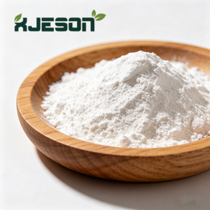 <span class=keywords><strong>Lactobacillus</strong></span> Bulgaricus de Qualité Supérieure 10 Milliards UFC/g pour Fermentation Laitière - Product Image 2