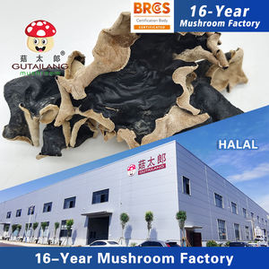 乾燥全形BRC承認ブラック真菌フード乾燥ブラック真菌大サイズ乾燥ホワイトバックアガリック食べるため - Product Image 1