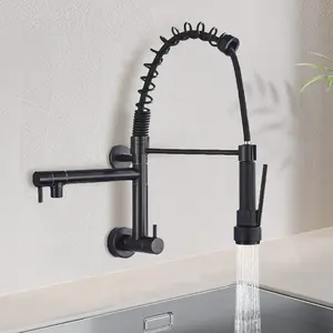 Anqi Pull Out Black Gold Color Single Cold Wall Mounted Pull Down Sprayer Orb High-arc Flexible Swivel kitchen faucet black