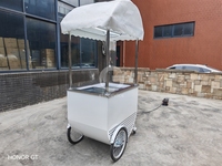 Práctico Carrito de Gelato Mini, Resistente, con Empuje Manual, de China, Carrito de Comida Personalizado