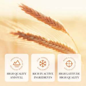 Crème anti-vergetures naturelle SADOER OEM, <span class=keywords><strong>hydratante</strong></span>, pour la grossesse, élimination des vergetures et des taches de rousseur, crème pour le <span class=keywords><strong>visage</strong></span> pour femmes enceintes - Product Image 3