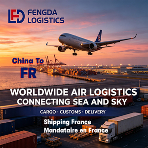 Entreprise de transport de fret aérien international vers l'aéroport de Lyon Saint-Exupéry en France, transit sûr et rapide - Product Image 1