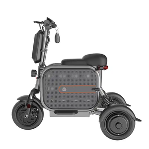 Scooter de movilidad de bicicleta eléctrica de <span class=keywords><strong>3</strong></span> ruedas para adultos 2023 48V con cesta para mascotas y motores sin escobillas de 500W/1000W - Product Image 5