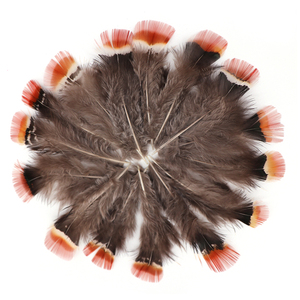 Piume di Fagiano Amherst Rosse Economiche all'Ingrosso, 5-10cm, Lavate con Motivi Decorativi per Artigianato e Cappelli - Product Image 1