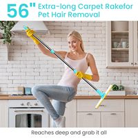 Ensemble de grattoirs anti-poils d'animaux 3-en-1 personnalisé avec long manche, râteau pour tapis, canapé, voiture, outil de toilettage
