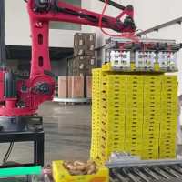 Paletizador Robótico Automático SP120 2400, Capacidad de Carga 120 kg, Aplicable a Productos Agrícolas, Productos Derivados de la Alimentación