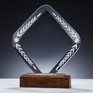 Trofeo in Cristallo, Medaglia Creativa, Premio Impermeabile Lucidato con Incisione Laser, Targa per Cerimonia Annuale del Dipendente d'Annno - Product Image 5