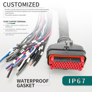 ชุดสาย<span class=keywords><strong>ไฟ</strong></span>รถยนต์แบบกันน้ำ IP67 พร้อมขั้วต่อแบบหลายขาขึ้นรูปด้วยวิธีฉีดขึ้นรูป สำหรับอุปกรณ์เสริมในรถยนต์ - Product Image 4