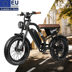 Bicicleta Retro con Certificación MX10 EN15194, 250W, 48V, 13.5Ah, Suspensión Trasera de 4 Barras, Cuadro de Acero, Neumáticos Gruesos de 20 Pulgadas - Product Image 1