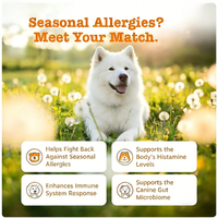 Complément alimentaire naturel pour chiens, granulés doux pour soutenir l'immunité et lutter contre les allergies