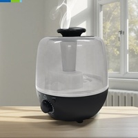 Diffuseur d'arômes, humidificateur d'air, humidificateur évaporatif, lumière d'ambiance LED multicolore, utilisation hôtelière, capacité 0,5-2,0 L, <36 dB