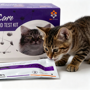 Kit de Prueba Rápida de Herpesvirus Felino de Alta Sensibilidad, Kit de Prueba FHV de Venta Caliente para Uso en Hospitales <span class=keywords><strong>Veterinarios</strong></span>/Clínicas/Uso Doméstico, Muestra Gratuita - Product Image 3