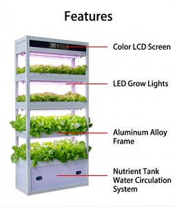 Sistema de Cultivo Hidropónico Vertical, Granja Inteligente de Vegetales para Interiores con Luz LED de Cultivo - Product Image 5