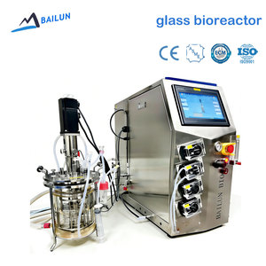Bioreactor Anaerobio Double Wall Glass 10L Jacketed Stirred Tank with Price for Bacterial Insect Culture Immunecells Fermenter - Product Image 1