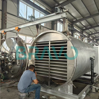 Industriële Fruitvriesdroger Betaalbare Grote Capaciteit 200Kg 300Kg Per Partij Plantaardige Vriesdroogmachine