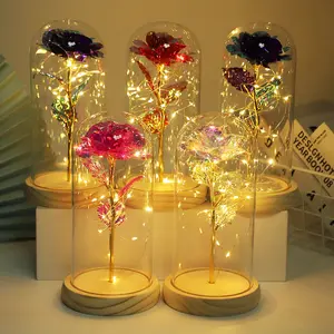Ewige Rose für Ewig Valentinstag Muttertagsgeschenk Glaskuppelblume 24K Gold Galaxy Rose Led-Lampe Licht
