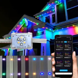 Christmas Lights Outdoor Waterproof Decorative 48V Permanent Christmas Holiday Pixel Led Light Ws2811 Led Point Light