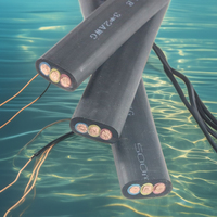 Câble de pompe submersible plat basse tension HUAQI 600V 16mm² 3 et 4 conducteurs, gaine isolante en caoutchouc IEC pour l'exploitation minière H07RN-F
