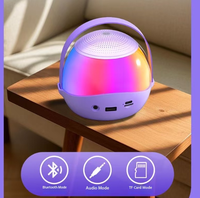 Haut-parleur et microphone, version britannique personnalisable avec plusieurs langues, rénovation de maison intelligente