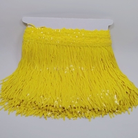 Paillettes brillantes de haute qualité, épaisseur et densité optimales, franges à pampilles pour robe