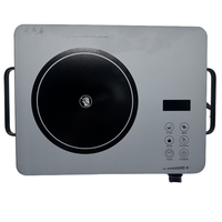 Cuisinière infrarouge électrique multifonction portable 110V en acier inoxydable 3500W, classe énergétique A, pour extérieur et hôtel, vente en gros