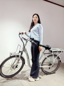 <span class=keywords><strong>Vélo</strong></span> <span class=keywords><strong>électrique</strong></span> urbain 36V 250W 20 KM/H <span class=keywords><strong>à</strong></span> <span class=keywords><strong>assistance</strong></span> <span class=keywords><strong>électrique</strong></span> <span class=keywords><strong>pour</strong></span> femmes EN15194 Europe CE approuvé <span class=keywords><strong>Vélo</strong></span> <span class=keywords><strong>électrique</strong></span> néerlandais 700C 20 KM/H <span class=keywords><strong>Batterie</strong></span> - Product Image 4