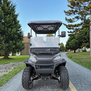 Voiturette <span class=keywords><strong>de</strong></span> golf personnalisée avec sièges sur mesure - Vente directe du fabricant chinois, conception sur mesure pour les propriétés privées - Product Image 3