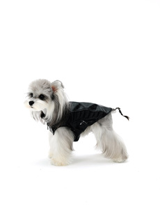 מעיל עור שחור עם רוכסן לחיות מחמד, דגם PAWSMOMENT, רב מכר, מתאים לבישון פריז, מלטיז, כלבים קטנים וטדי, עמיד למים, עשוי פוליאסטר. - Product Image 2