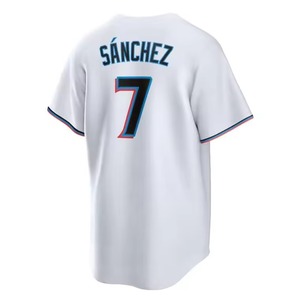 Wholesale Custom USA Team Uniform Breathable Quick Dry Plus Size Heat-Transfer Printed Polyester Adults <b>Baseball</b> Softball Jersey - Product Image 6