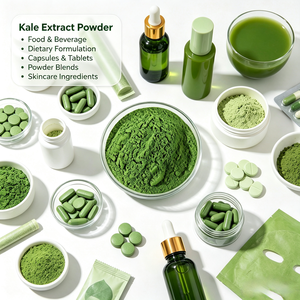 Poudre d'extrait de chou frisé en gros 10:1 20:1 30:1 – Matière première végétale en vrac pour la formulation d'aliments et de boissons - Product Image 3