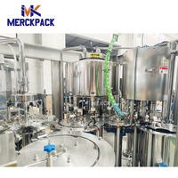 Petite ligne d'embouteillage en plastique complète complètement automatique d'eau minérale potable en bouteille